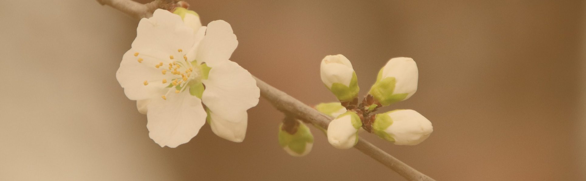 Frühling in der evangelischen Gemeinde Timelkam
