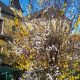Im evangelischen Gemeindegarten in Timelkam